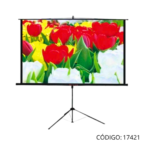 Pantalla c/Tripode 96" ENGLAND PPT-1196.